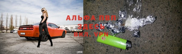 Альфа ПВП Белокуриха