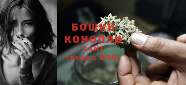 PSILOCYBIN Беломорск