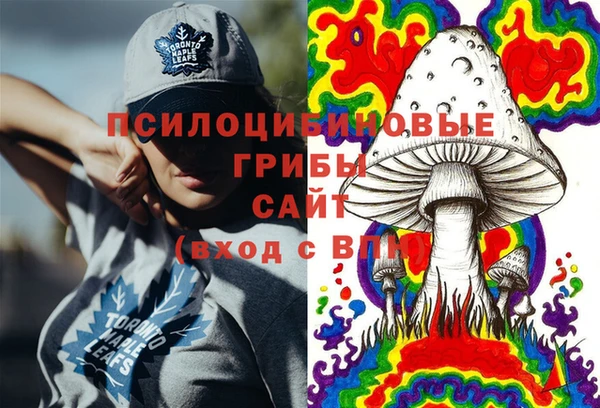 PSILOCYBIN Беломорск