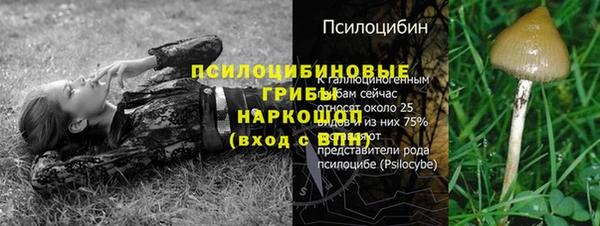 Альфа ПВП Белокуриха