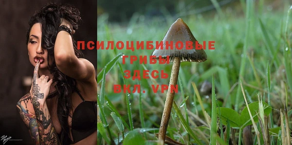 бошки Белоозёрский