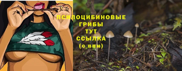PSILOCYBIN Беломорск
