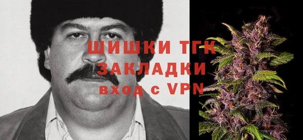 Альфа ПВП Белокуриха